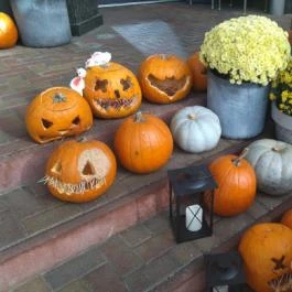 Smaragd Cafe Shop - MenDan Magic Spa & Wellness Hotel, Zalakaros - Egyéb