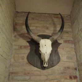 Smith Burger & More, Budapest - Belső