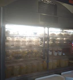 Snack Bár - Kehida Termál