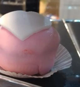 Sock's Coffee - Csalogány utca