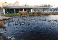 Soleil Bistro Újbuda Budapest