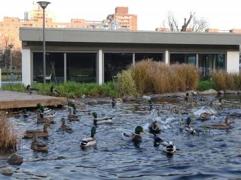 Soleil Bistro Újbuda Budapest