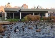 Soleil Bistro Újbuda Budapest