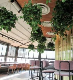 Solid Sky Bar Budapest