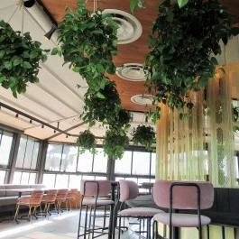 Solid Sky Bar Budapest, Budapest - Egyéb