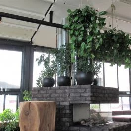 Solid Sky Bar Budapest, Budapest - Egyéb