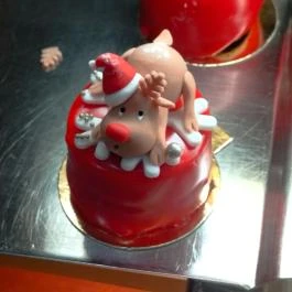 Solier Étterem Gödöllő - Étel/ital