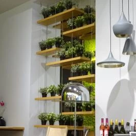 Solinfo Café Budapest - Belső