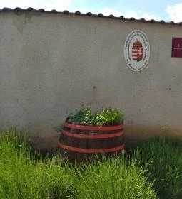 Soós István Borászati Technikum Tangazdaság Pince & Étterem