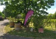 Soós István Borászati Technikum Tangazdaság Pince & Étterem Budapest