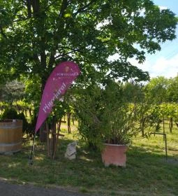 Soós István Borászati Technikum Tangazdaság Pince & Étterem