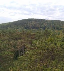 Sörházdombi Kilátó