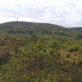 Sörházdombi Kilátó Sopron - Egyéb