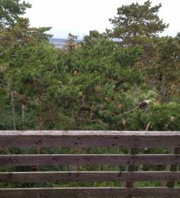 Sörházdombi Kilátó