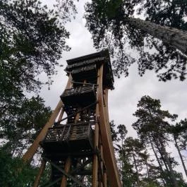 Sörházdombi Kilátó Sopron - Egyéb