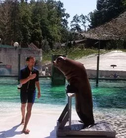 Sóstó Zoo - Nyíregyházi Állatpark