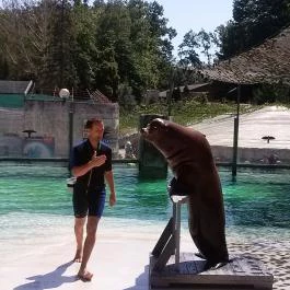 Sóstó Zoo - Nyíregyházi Állatpark, Nyíregyháza - 