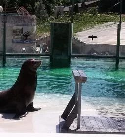 Sóstó Zoo - Nyíregyházi Állatpark