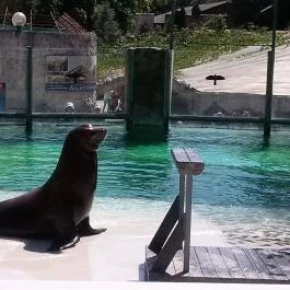 Sóstó Zoo - Nyíregyházi Állatpark, Nyíregyháza - 