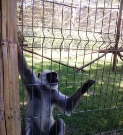 Sóstó Zoo - Nyíregyházi Állatpark