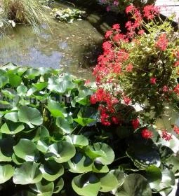 Sóstó Zoo - Nyíregyházi Állatpark