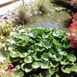 Sóstó Zoo - Nyíregyházi Állatpark, Nyíregyháza - 