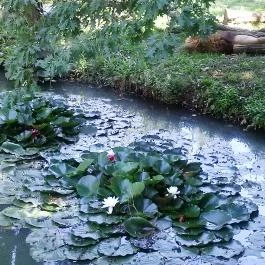 Sóstó Zoo - Nyíregyházi Állatpark, Nyíregyháza - 