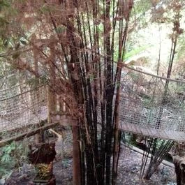 Sóstó Zoo - Nyíregyházi Állatpark, Nyíregyháza - 