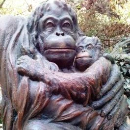 Sóstó Zoo - Nyíregyházi Állatpark, Nyíregyháza - 