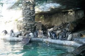 Sóstó Zoo - Nyíregyházi Állatpark Nyíregyháza