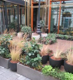 Spago by Wolfgang Puck