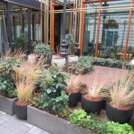 Spago by Wolfgang Puck Budapest - Egyéb