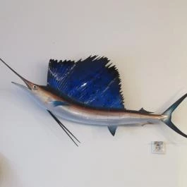 Spicy Fish Budapest - Corvin Budapest - Egyéb