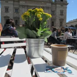 Spíler Buda Budapest - Egyéb