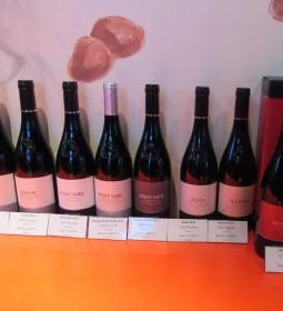 St. Andrea Szőlőbirtok & Pincészet