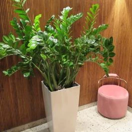 Stand25 Bisztró Budapest - Egyéb