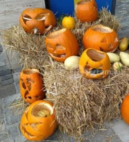 Stand Bar - Park Inn Zalakaros