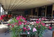 Standard Bistro & Bar Budapest