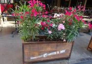 Standard Bistro & Bar Budapest