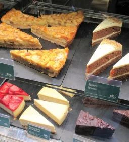 Starbucks Golden Bull