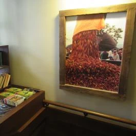 Starbucks - Hercegprímás utca Budapest - Belső