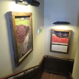 Starbucks - Hercegprímás utca Budapest - Belső