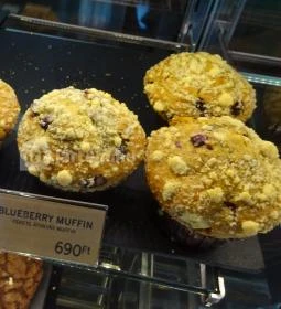 Starbucks - Apáczai Csere János utca