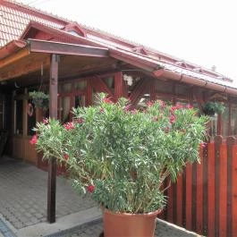 Steakpalota Gyöngyös - Egyéb