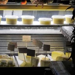 Stelázsi Budapest - Belső