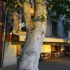 Stock Pub 1927, Szolnok - Külső kép