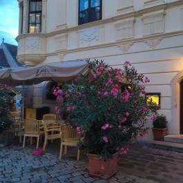 Storno-ház, Sopron - Egyéb