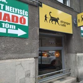 Stranger Café Budapest - Külső kép