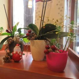 Stühmer Édességbolt - Pozsonyi út, Budapest - Egyéb