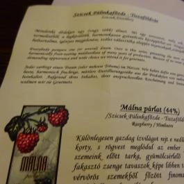 Submarine Station Étterem Budapest - Étlap/itallap